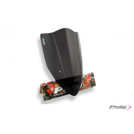 Racing Screen Kawasaki Z1000 03-06/Kle 500 05 -07