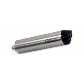 Arrow Silencer Maxi Race Tech Titanium Inox  71684PO