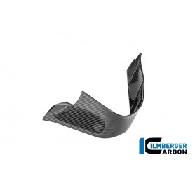 Left Winglet BMW M 1000 RR 2025