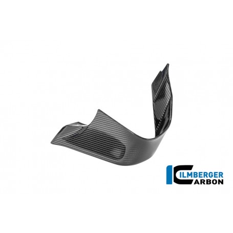 Left Winglet BMW M 1000 RR 2025