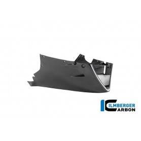 Lower Fairing BMW M1000 RR 2025