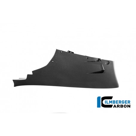 Lower Fairing BMW M1000 RR 2025