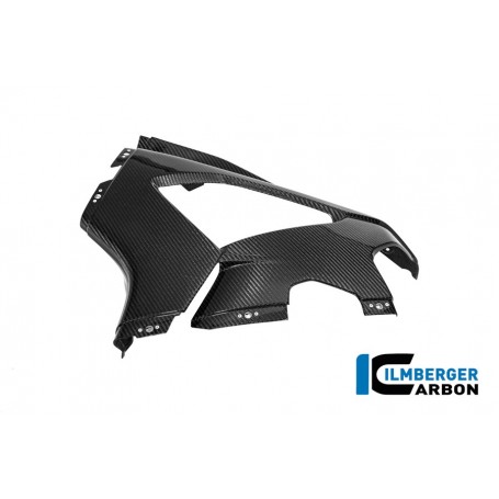 Left fairing side panel Racing BMW M 1000 RR 2025