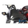 Windshield Carbon - Honda CB 1000 R