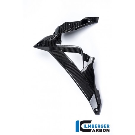Watercooler Cover left Side Carbon - BMW S 1000 R