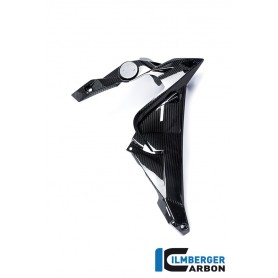 Watercooler Cover right Side Carbon - BMW S 1000 R MY from 2014