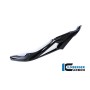 Tank Side Panel left Side Carbon - BMW S 1000 R (2014-now) / S 1000 RR Street (from 2015)