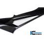 Tank Side Panel right Side Carbon - BMW S 1000 R / S 1000 RR Steet (from 2015)
