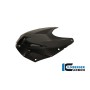 Upper Tank Cover Carbon - BMW S 1000 RR Stocksport/Racing (2010-2014)