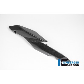Underseat Side Panels left Carbon - BMW R 1200 R (LC) from 2015 / BMW R 1200 RS (LC) from 2015