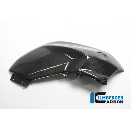 Tank Panel right Side Carbon - BMW R 1200 R (LC) from 2015