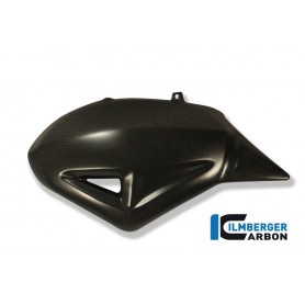 Swing Arm Cover Carbon - Ducati Diavel