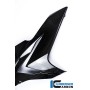 Side Fairing right Side Carbon - BMW S 1000 R
