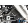 Swing Arm Cover (set - left and right) Carbon - BMW S 1000 R (2014-now) / S 1000 RR Street (2010-201
