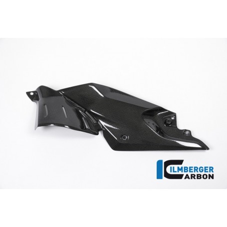 Side Panel under the Tank left Side Carbon - BMW R 1200 R (LC) from 2015