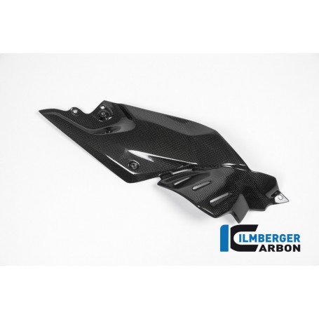 Side Panel under the Tank right Side Carbon - BMW R 1200 R (LC) from 2015