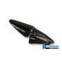 Side Exhaust Protector Carbon - Ducati Diavel