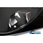 Rear Undertray Carbon - BMW S 1000 R / S 1000 RR Street (from 2015)