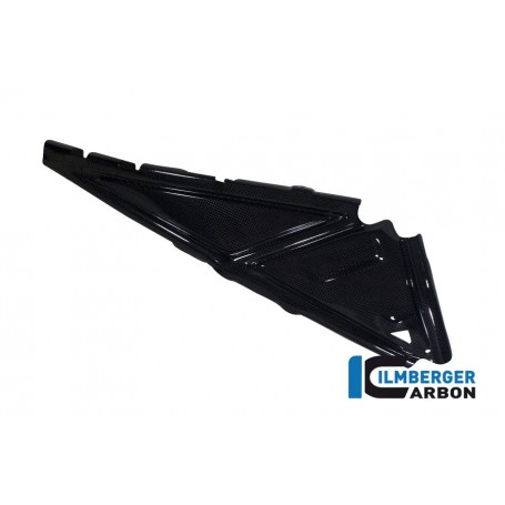 Rear Frame Cover Right Carbon - BMW R 1200 GS (LC from 2013)