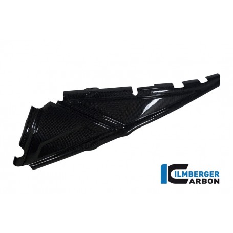 Rear Frame Cover Left Carbon - BMW R 1200 GS (LC from 2013)