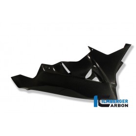 Race Bellypan (1 piece) use only with Racing Exhaust - BMW S 1000 RR Racing