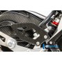 Heel Guard right Side Carbon - BMW S 1000 RR (from 2015)