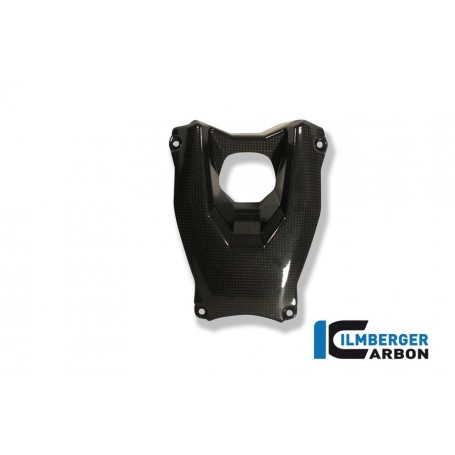 Ignition Switch Cover Carbon - Ducati Streetfighter