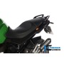 Injection Cover (pair) Carbon - BMW R 1200 R (2007-2014)