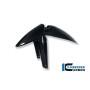 Front Mudguard Carbon - BMW R 1200 GS (LC from 2013)