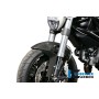 Front Mudguard Carbon - Ducati 696 / 1100 Monster