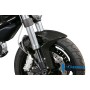 Front Mudguard Carbon - Ducati 696 / 1100 Monster