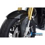 Front Mudguard Carbon - BMW R Nine T