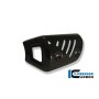 Front Silencer Protector Carbon - BMW F 800 R (2009-2014)