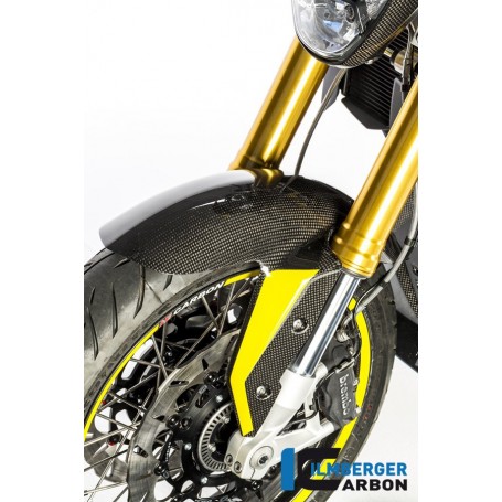 Front Mudguard Carbon - BMW R 1200 R (LC) from 2015 / BMW R 1200 RS (LC) from 2015
