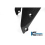 Front Mudguard - Ducati Monster 1200 / 1200 S