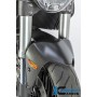 Front Mudguard matt - Ducati Monster 1200 / 1200 S