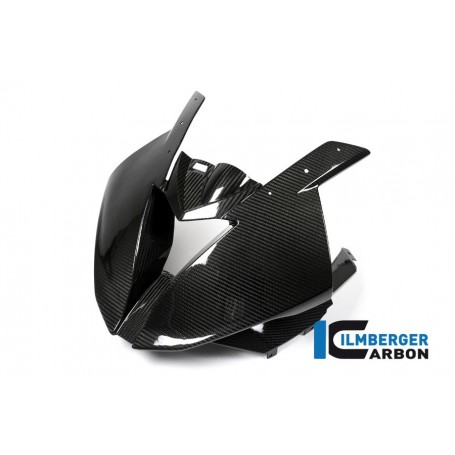 Front Race Fairing Carbon - BMW S 1000 RR (from 2015)