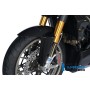 Front Mudguard Carbon - Ducati Streetfighter