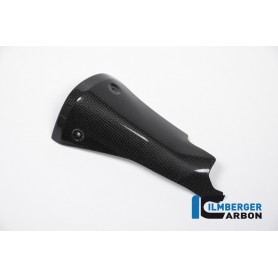 Front Silencer Protector Carbon - BMW R 1200 R (LC) from 2015 / BMW R 1200 RS (LC) from 2015