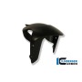 Front Mudguard Carbon - Ducati Diavel
