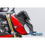 Front Fairing Side Panel right Side Carbon - BMW S 1000 R