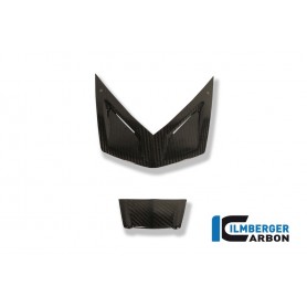 Front Fairing Covers on the light Carbon - BMW K 1300 S