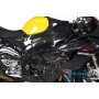 Frame Covers (set - left and right) Carbon - BMW S 1000 RR
