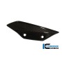 Fairing Side Winglet (right) Carbon - BMW S 1000 RR Street (2012-2014) / HP 4 (2012-now)