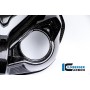 Front Fairing Carbon - BMW S 1000 R