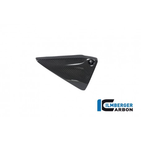 Frame Triangle Cover left Side BMW R 1250 GS