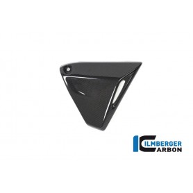 Frame Triangle Cover right Side BMW R 1250 GS