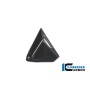 Frame Triangle Cover right Side BMW R 1250 GS