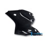 Fairing Side Panel left Side Racing Carbon - Ducati 1199 Panigale (2012-2014)