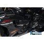Fairing Race Side Panel (left) Carbon - BMW S 1000 RR Stocksport/Racing Parts